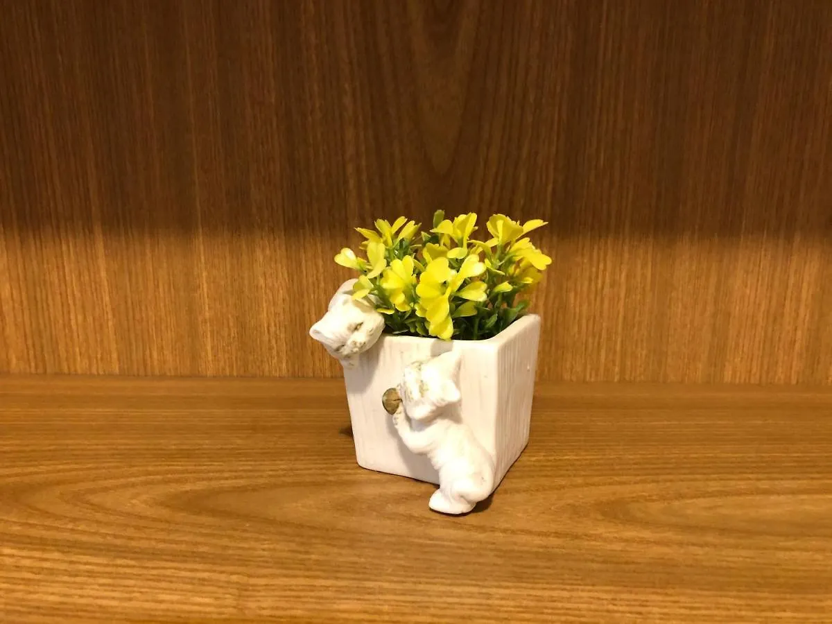 Guest house Alloggi Al Giardino & La Suite Occhiobello Italy